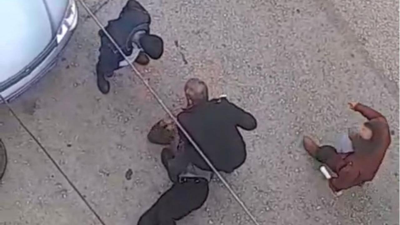 petshopta taciz sokak ortasinda meydan dayagi qcBgGr8T