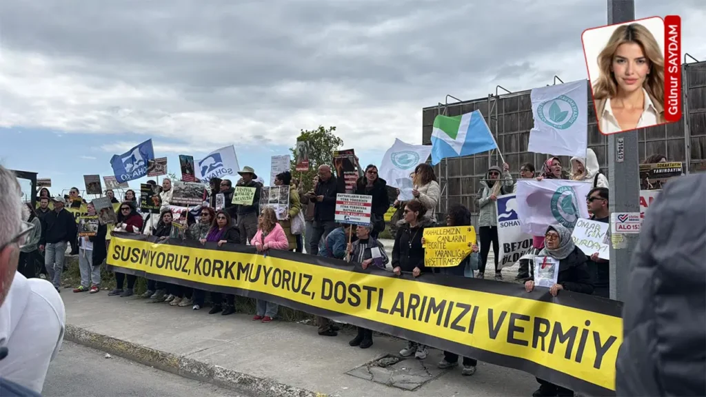 ‘Ötanazi Tartışmaları’ Sokak Hayvanları İçin Tehlike Oluşturuyor: Tepkiler Büyüyor