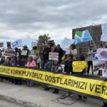 ‘Ötanazi Tartışmaları’ Sokak Hayvanları İçin Tehlike Oluşturuyor: Tepkiler Büyüyor