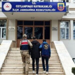 Ceylanpınar’da Yağma Suçlusu Yakalandı
