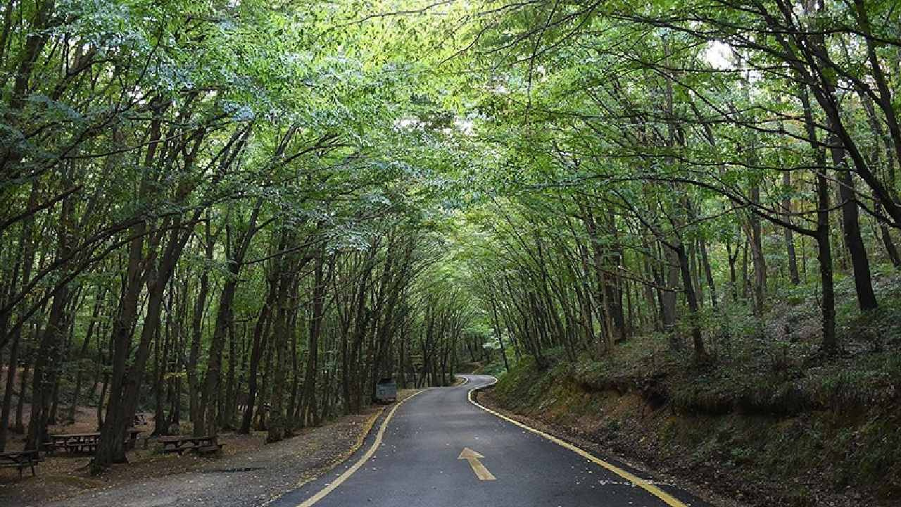 Isparta ve Burdur’da Ormanlara Giriş Yasaklandı