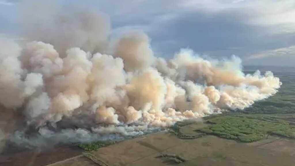 Alberta’da Orman Yangını: 100’den Fazla Kişi Güvenlik İçin Tahliye Edildi