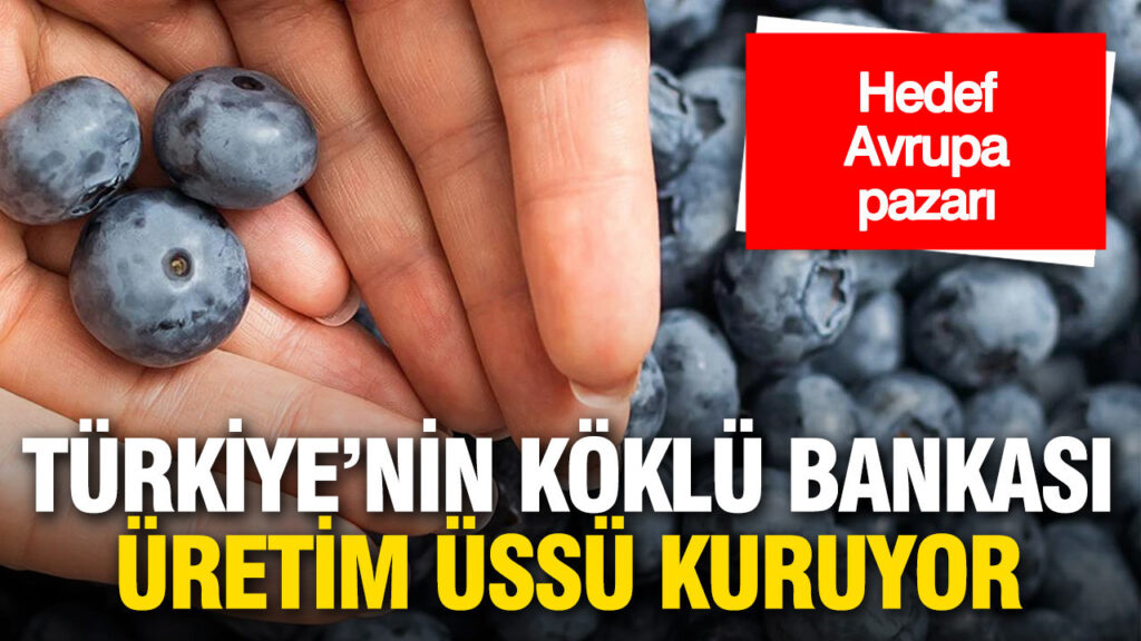 Türkiye İş Bankası’ndan Yüksek Teknolojiyle Yaban Mersini Üretim Tesisi