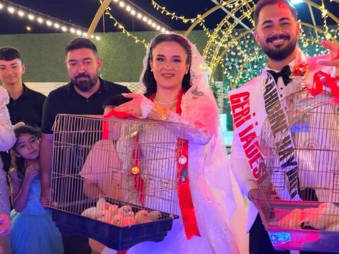 Ustadan evlenen ciragina sira disi dugun hediyesi altin yerine bakin ne verdi Jck4NcD1